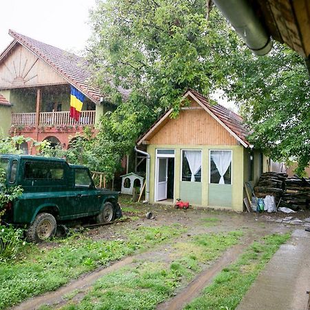 Pensiune Muzeu Traditional Poveste In Transilvania Sighişoara Esterno foto