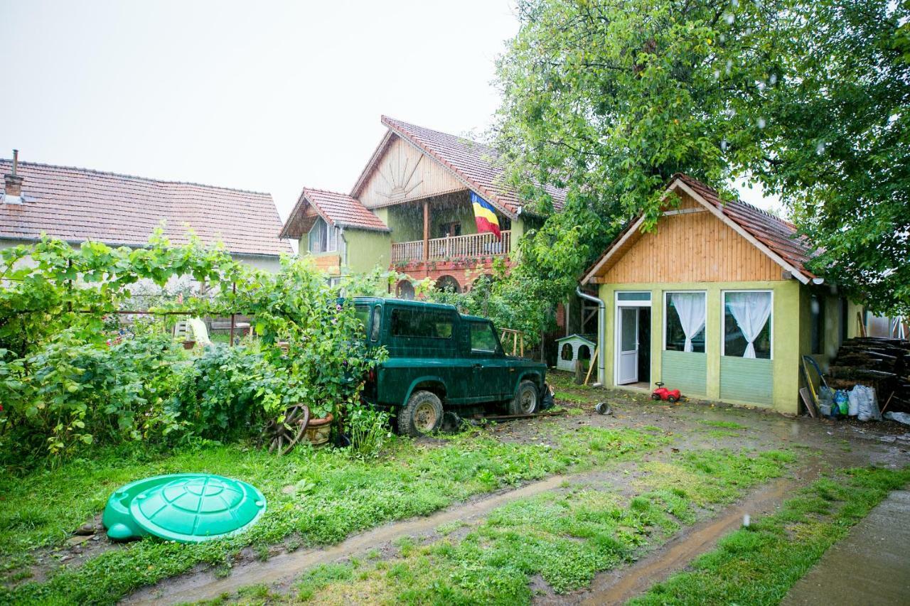 Pensiune Muzeu Traditional Poveste In Transilvania Sighişoara Esterno foto